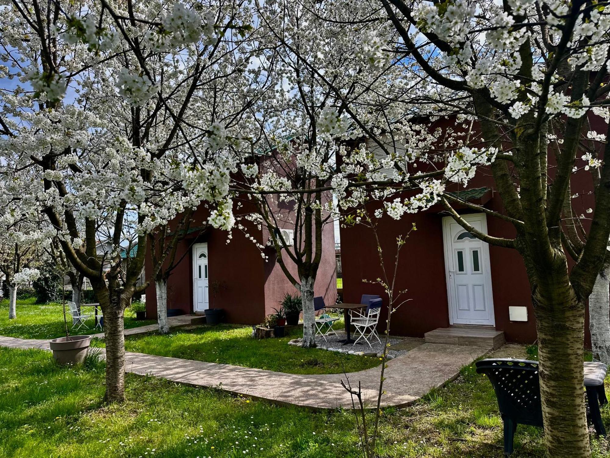 Tiny House 1 - Imanje Terzic Appartement